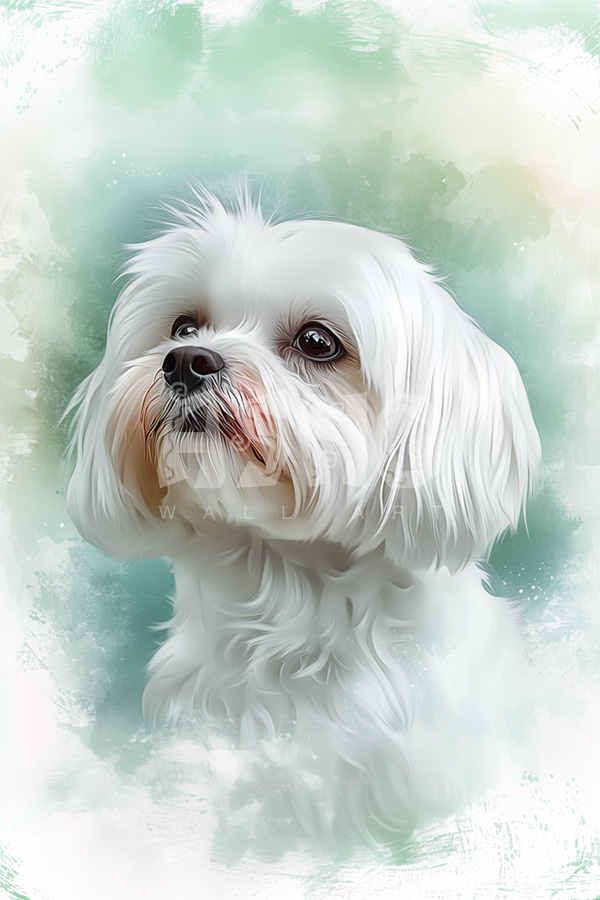 The Adorable Maltese